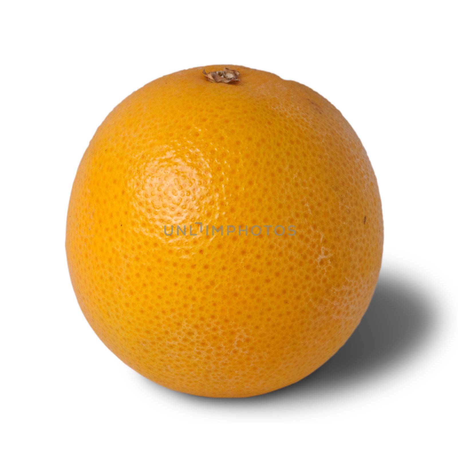 Isolated fruit of orange against white background.