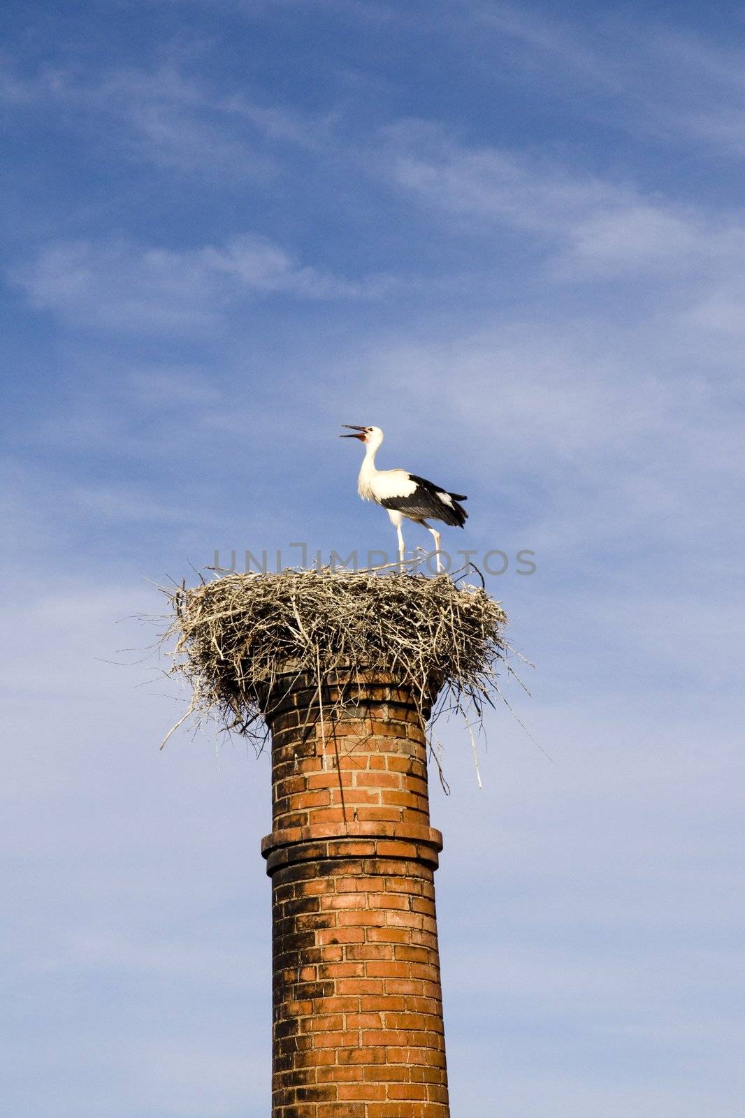 View of a nest with a stork on top of an abandoned factory chimney.
