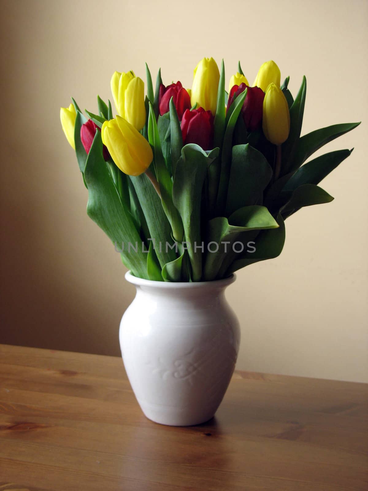 Tulips in  white vase