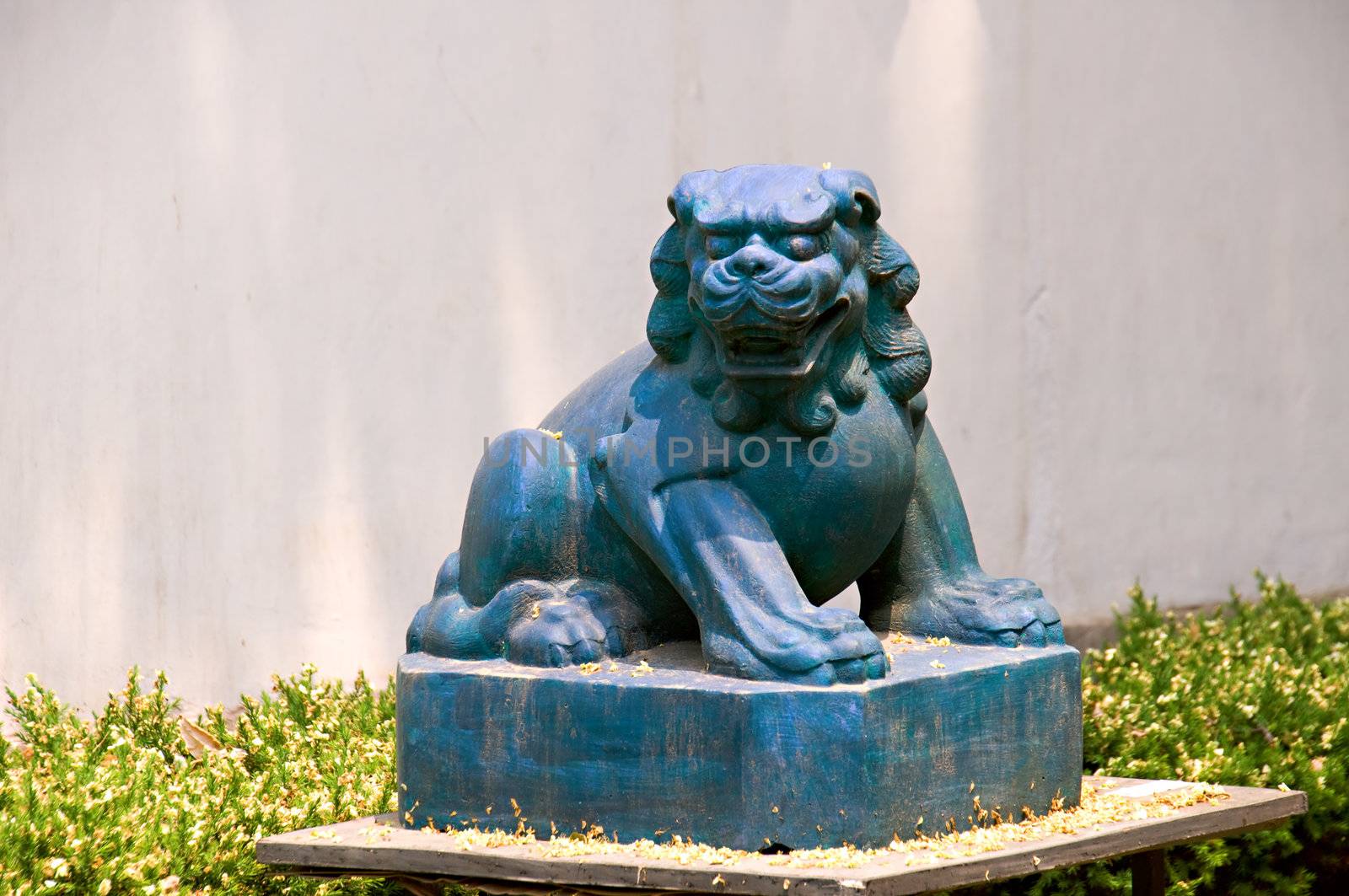 A stone lion of Chinese temple, in garden