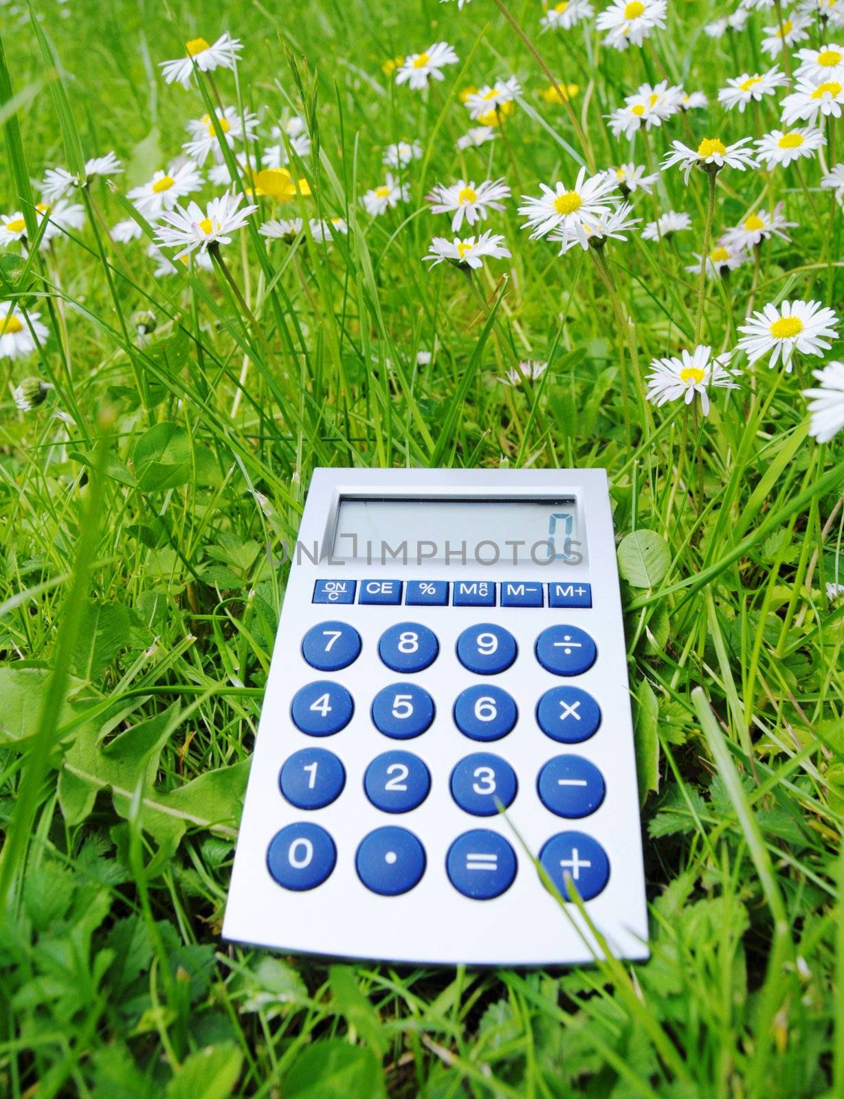 ecological accounting concept with calculator in green grass