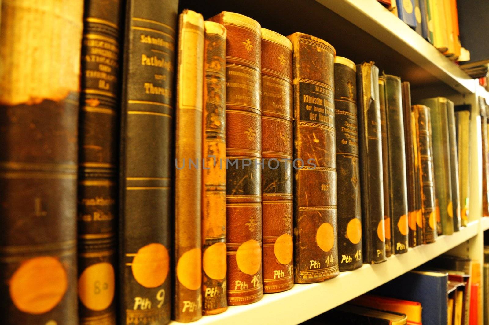 books in a library bookshelf for university education