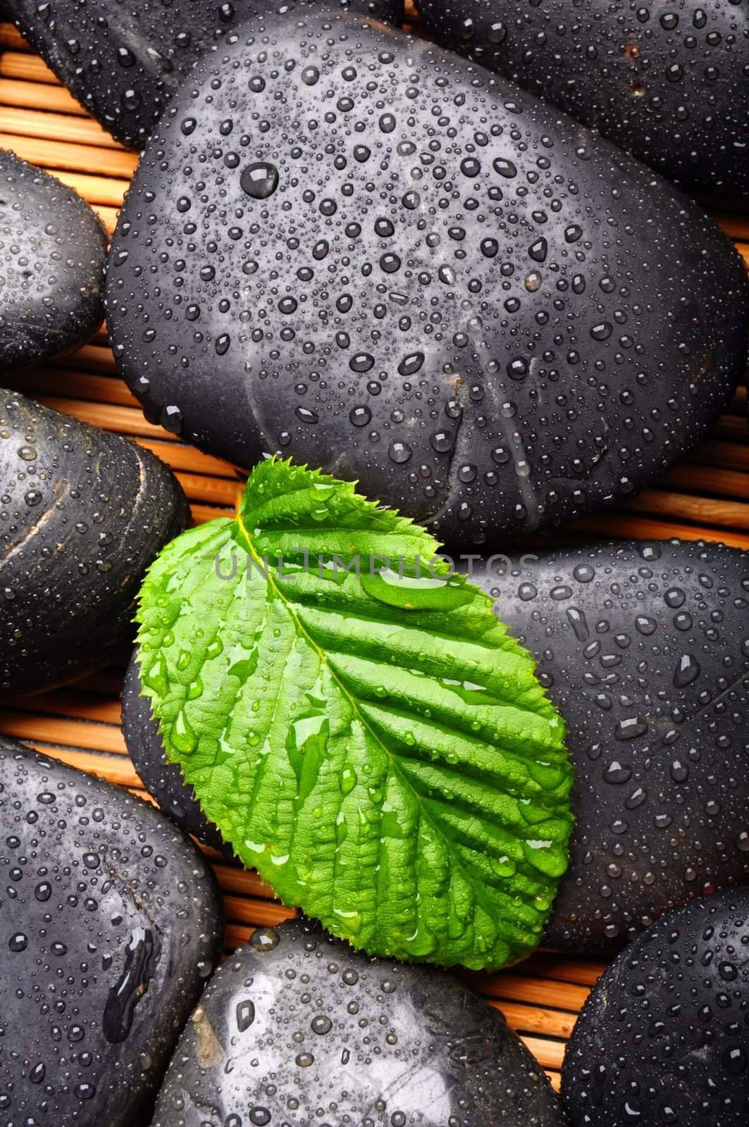 zen or spa stones with green leaf and water drops