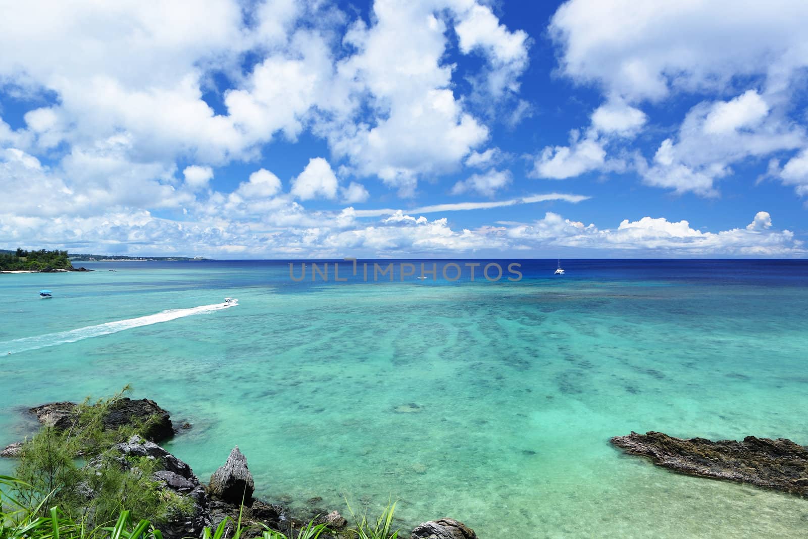 summer beach