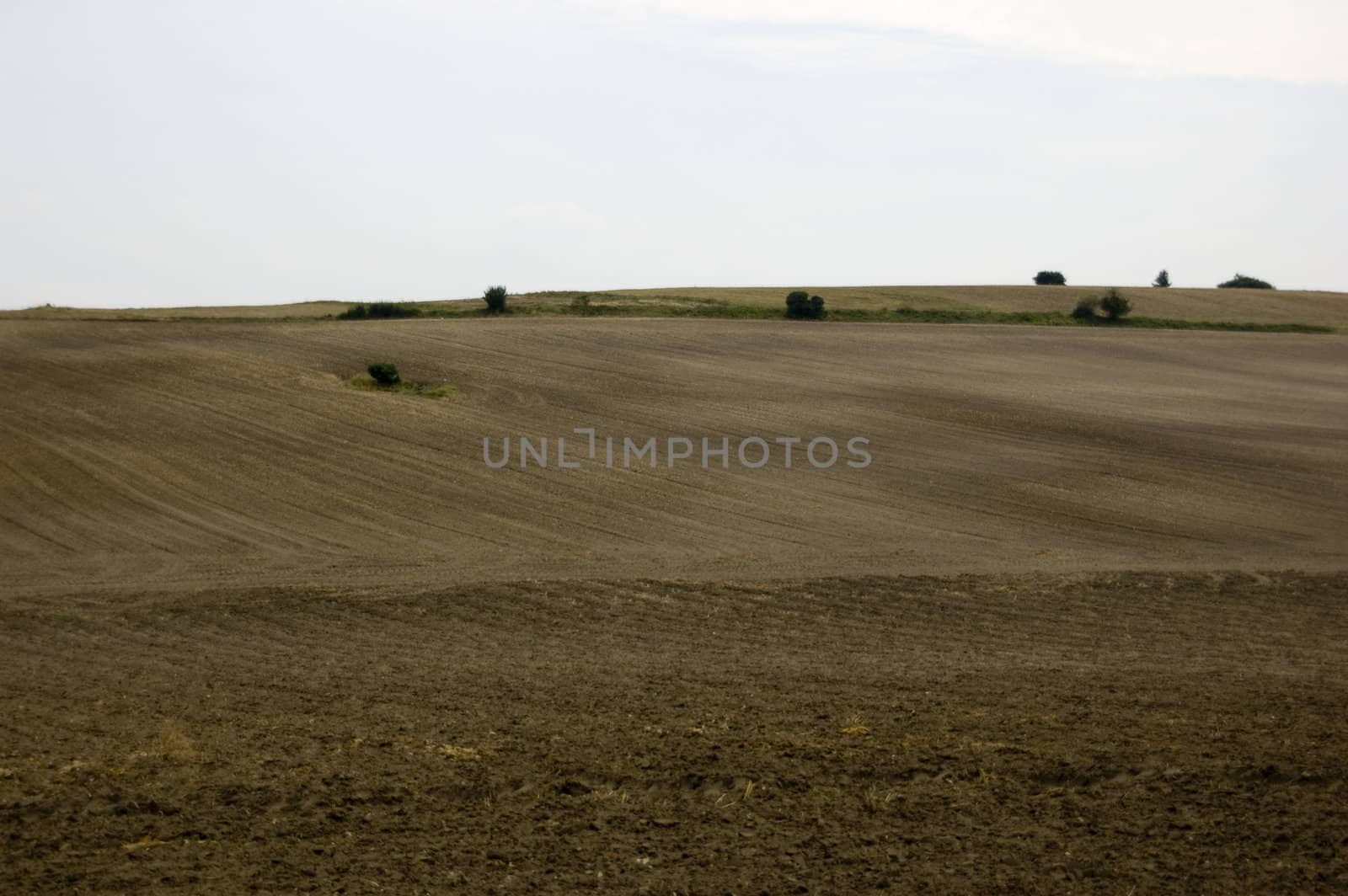 agriculture brown soil at the end of summer