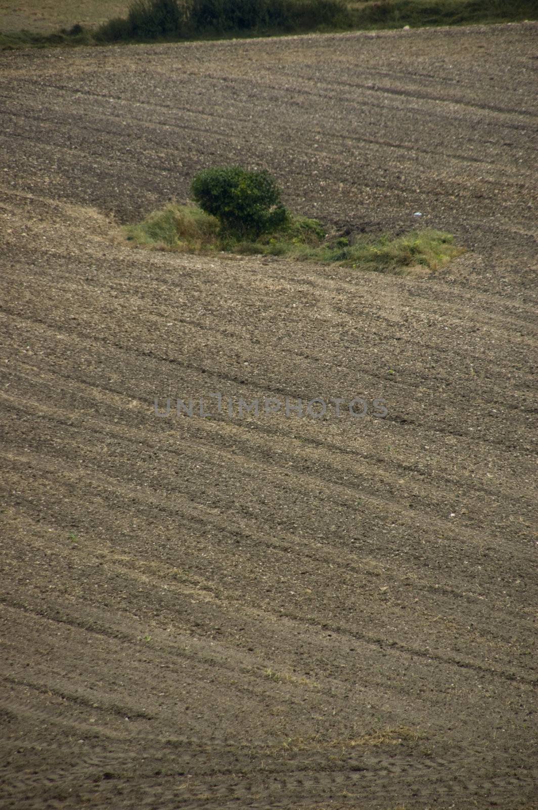 agriculture brown soil at the end of summer