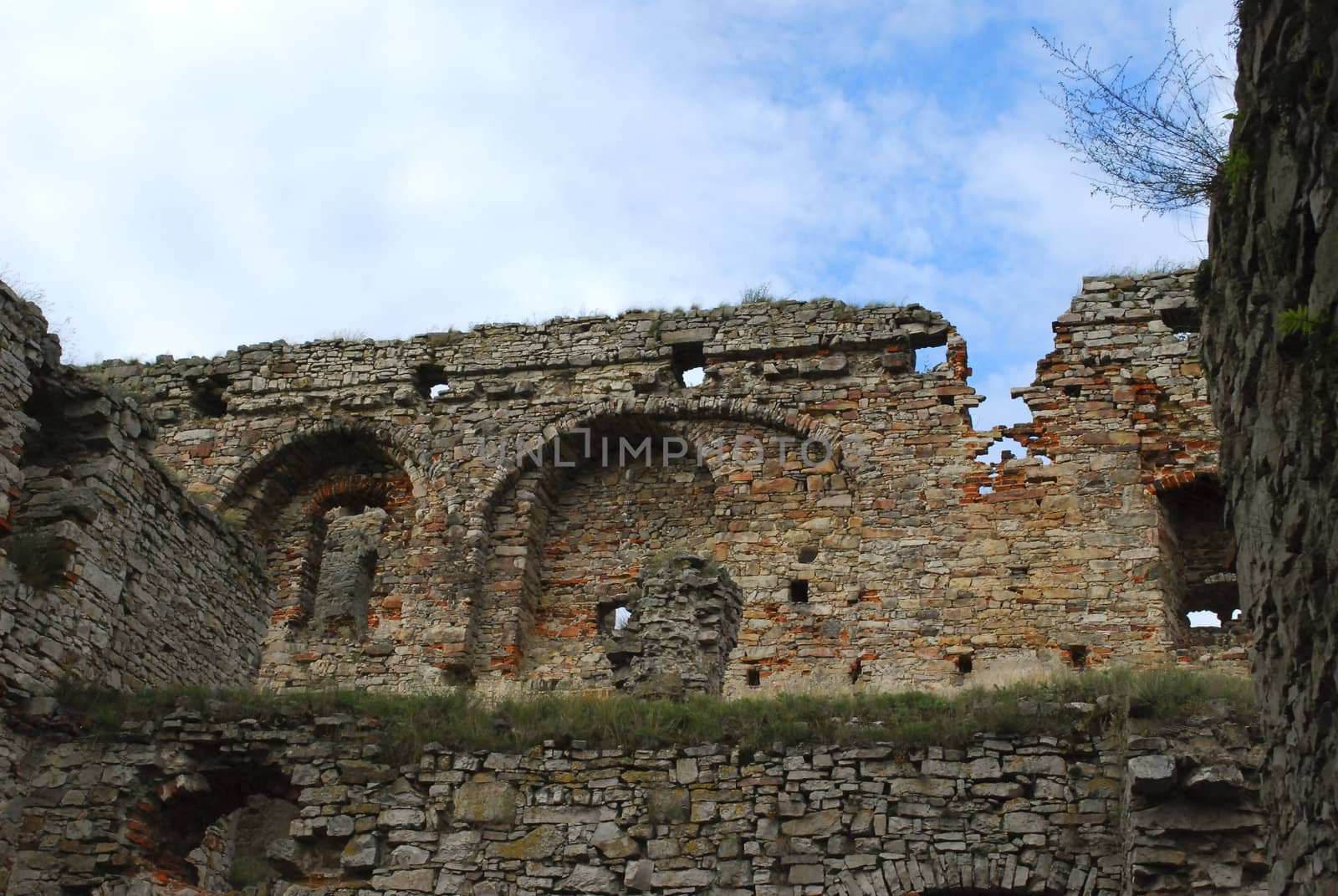 old castle ruins with some plants growing on walls