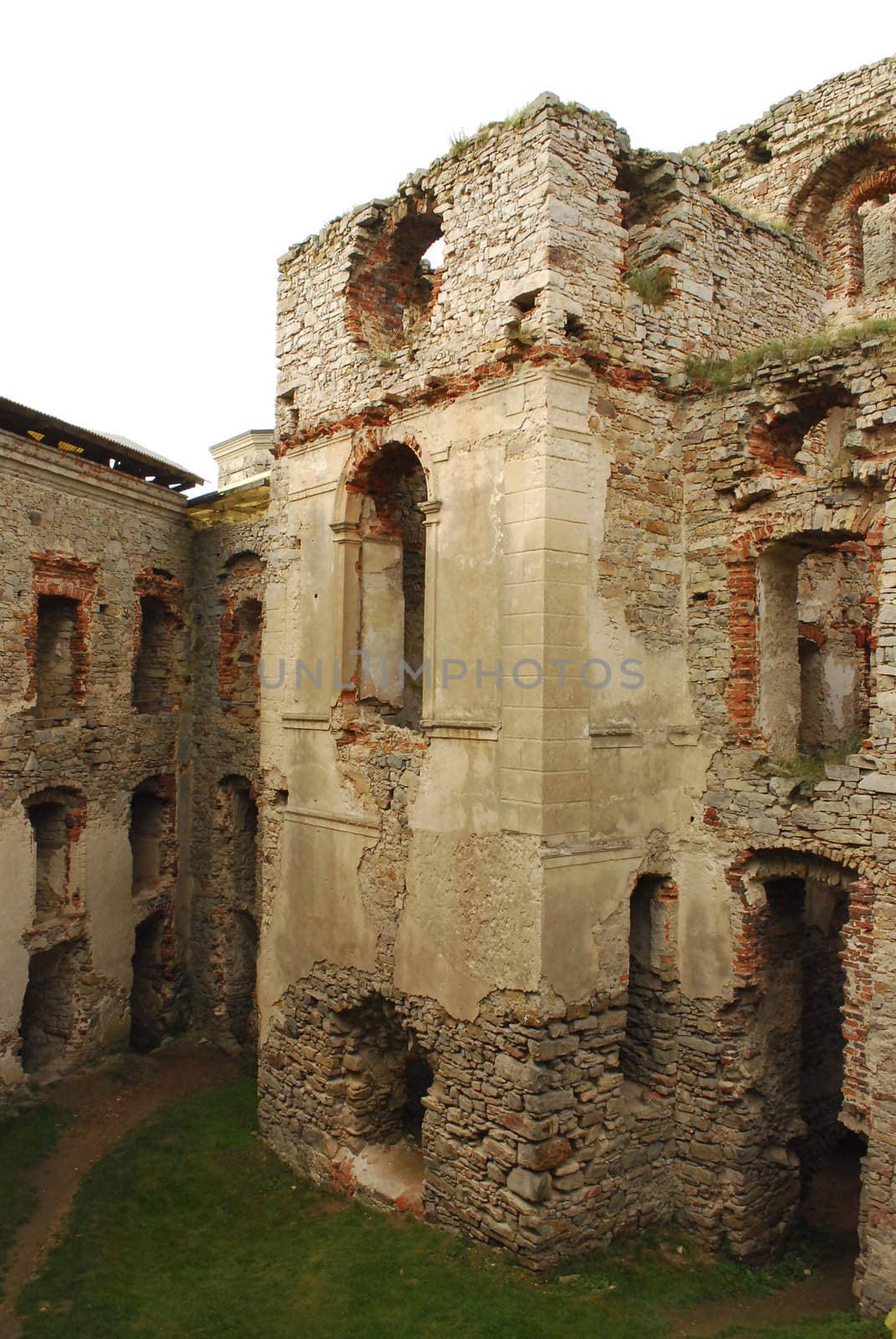 old castle ruins with some plants growing on walls