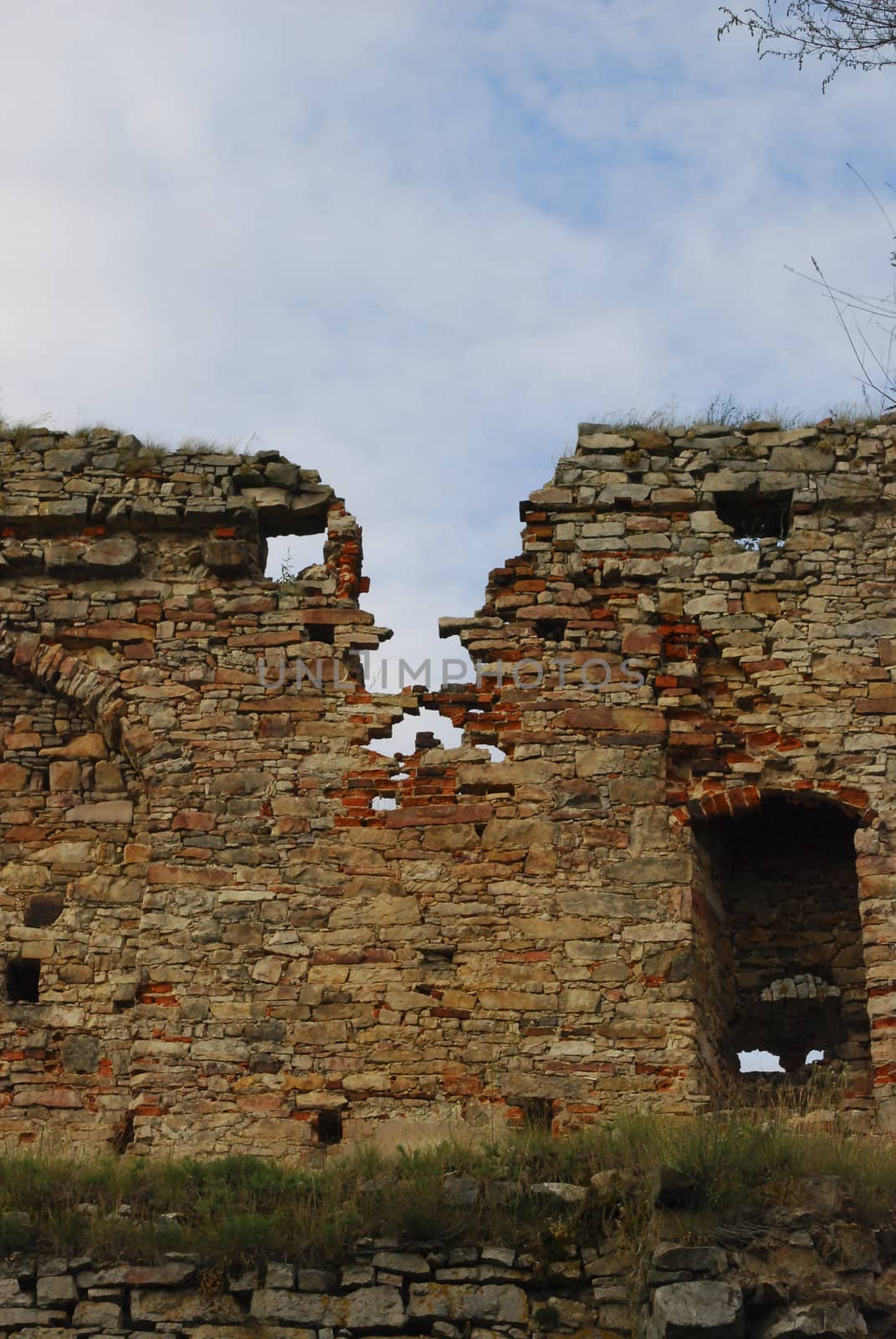 old castle ruins with some plants growing on walls