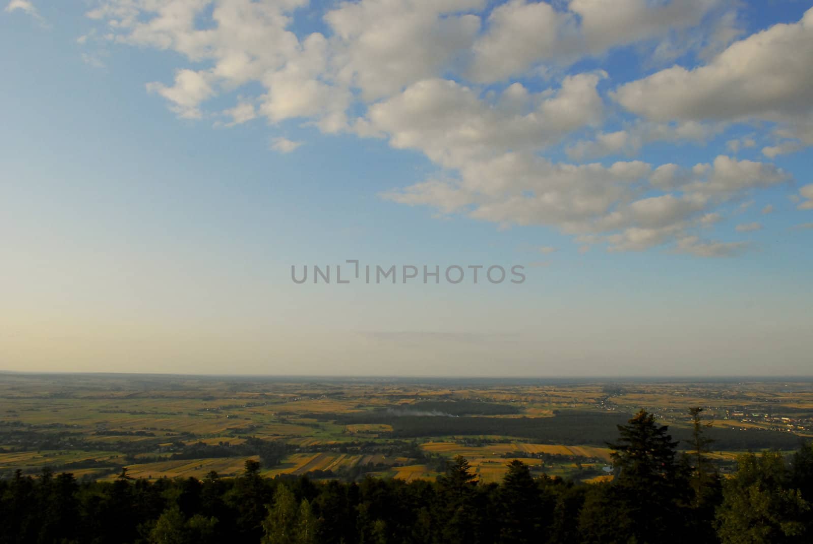 agricultural landscape with trees and flat terrain