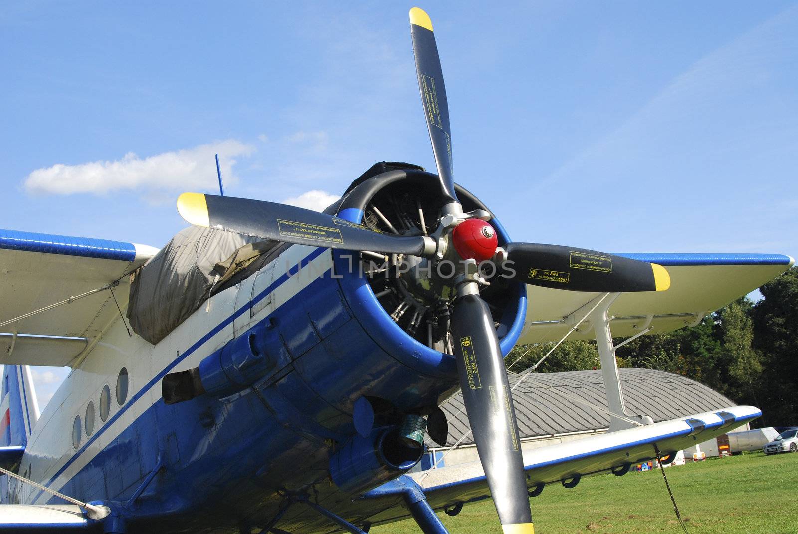 some front of blue plane detail on small airport