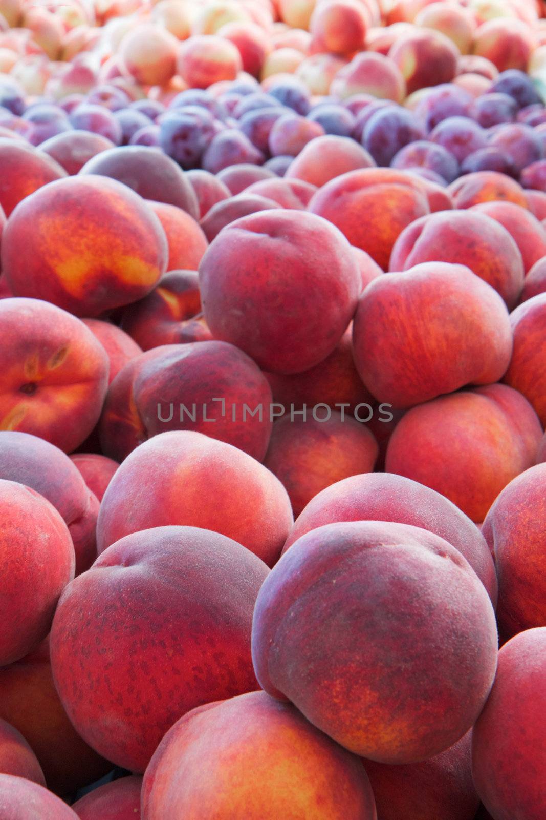 Piles of red, oraange, burgandy peaches at the farmers market
