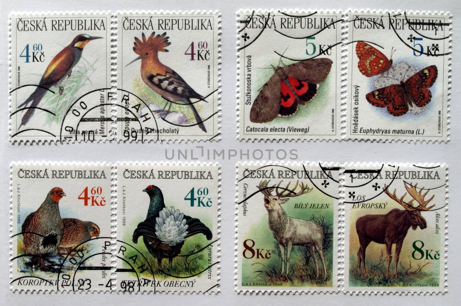Czech Republic mail postage stamps with animals (deer, moose, butterfly, birds)