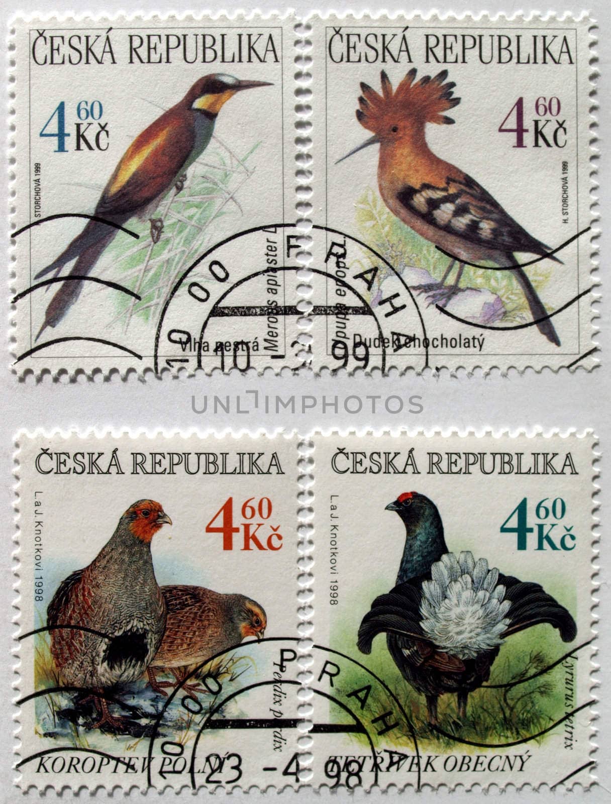 Czech Republic mail postage stamps with birds images