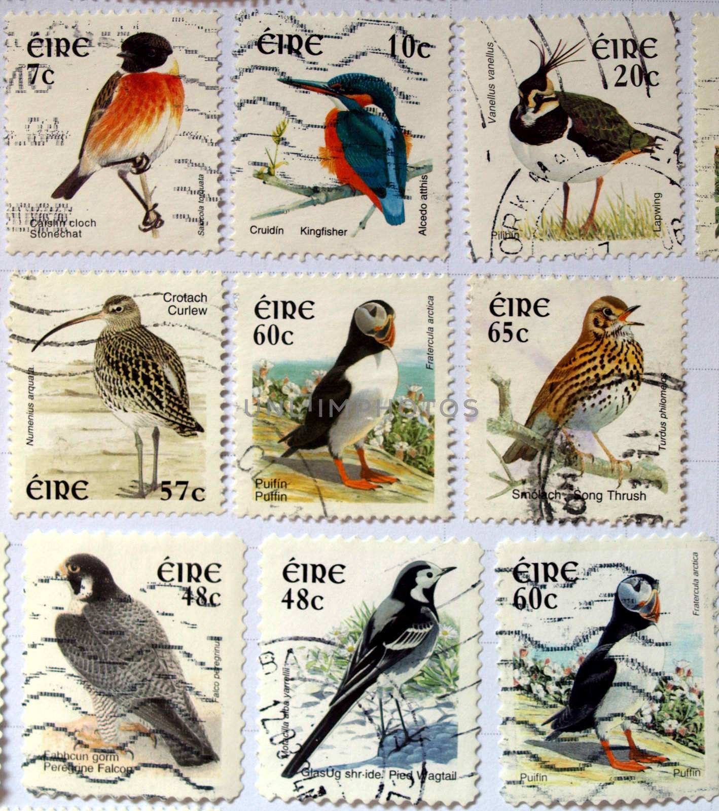 Range of Irish postage stamps with birds
