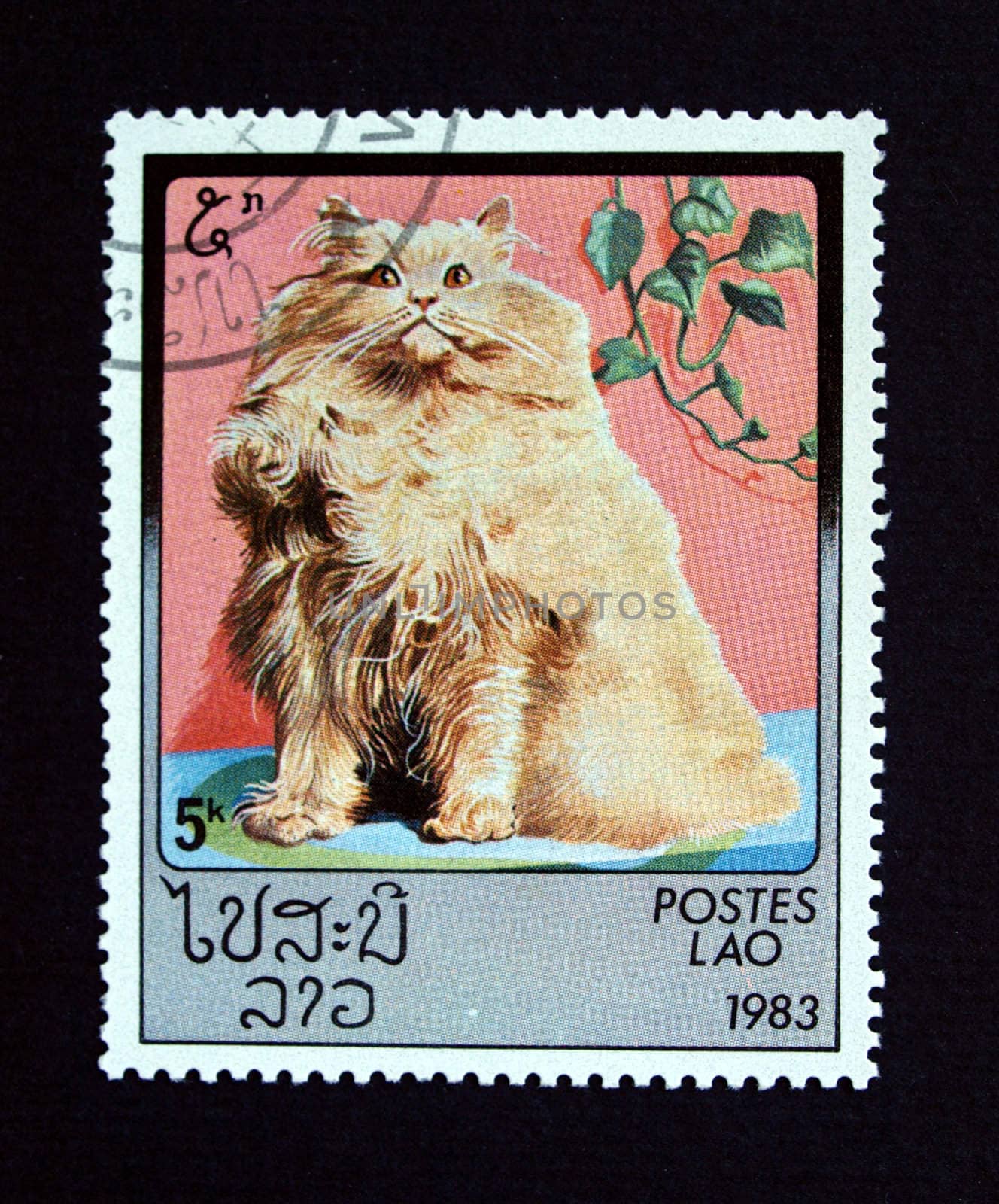 Lao stamp with cat by paolo77