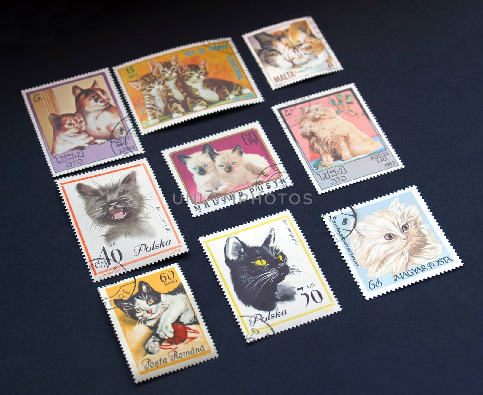 Stamp with cats from Hungary, Malta, Poland, Romania
