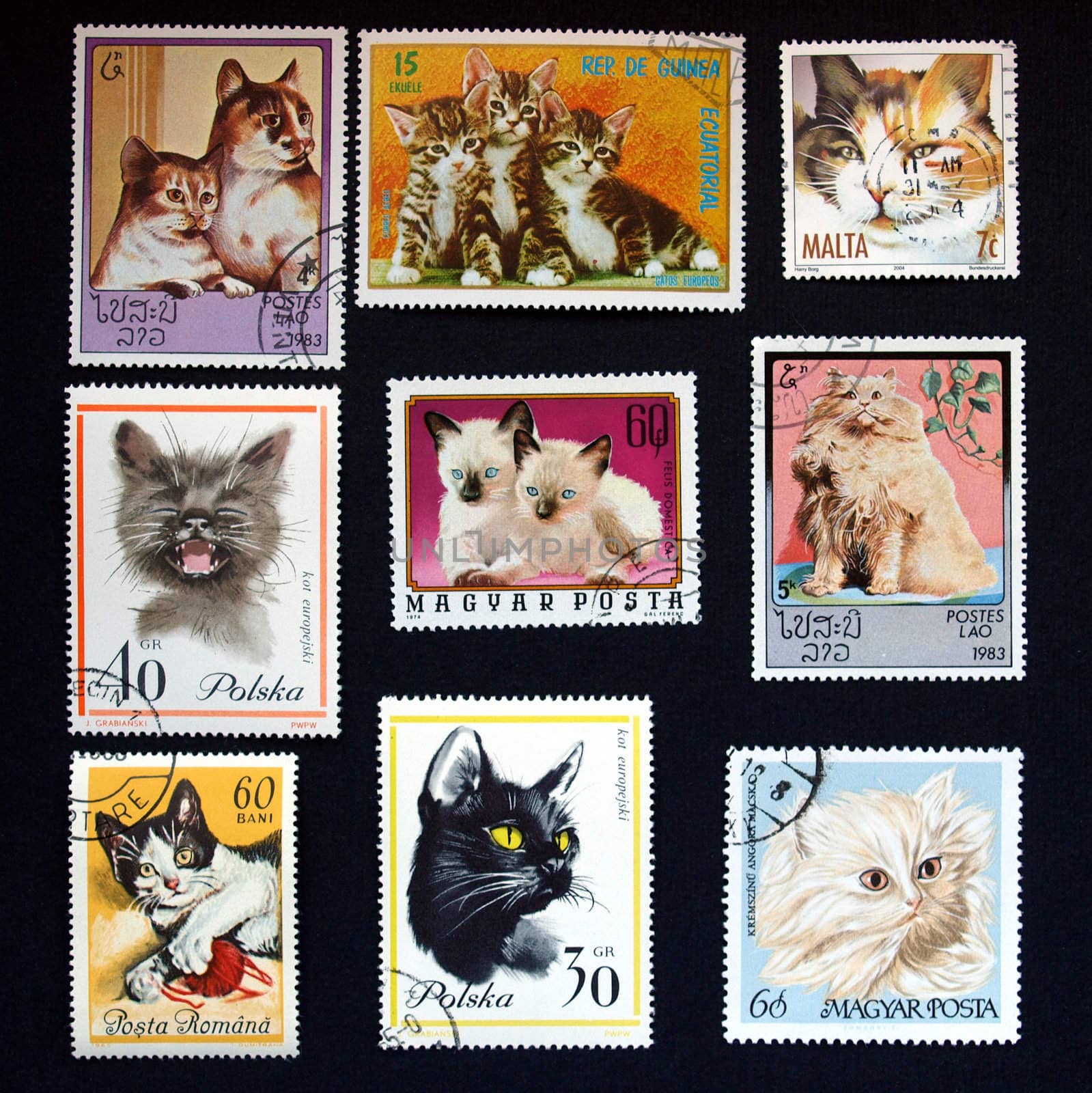 Cat stamps by paolo77