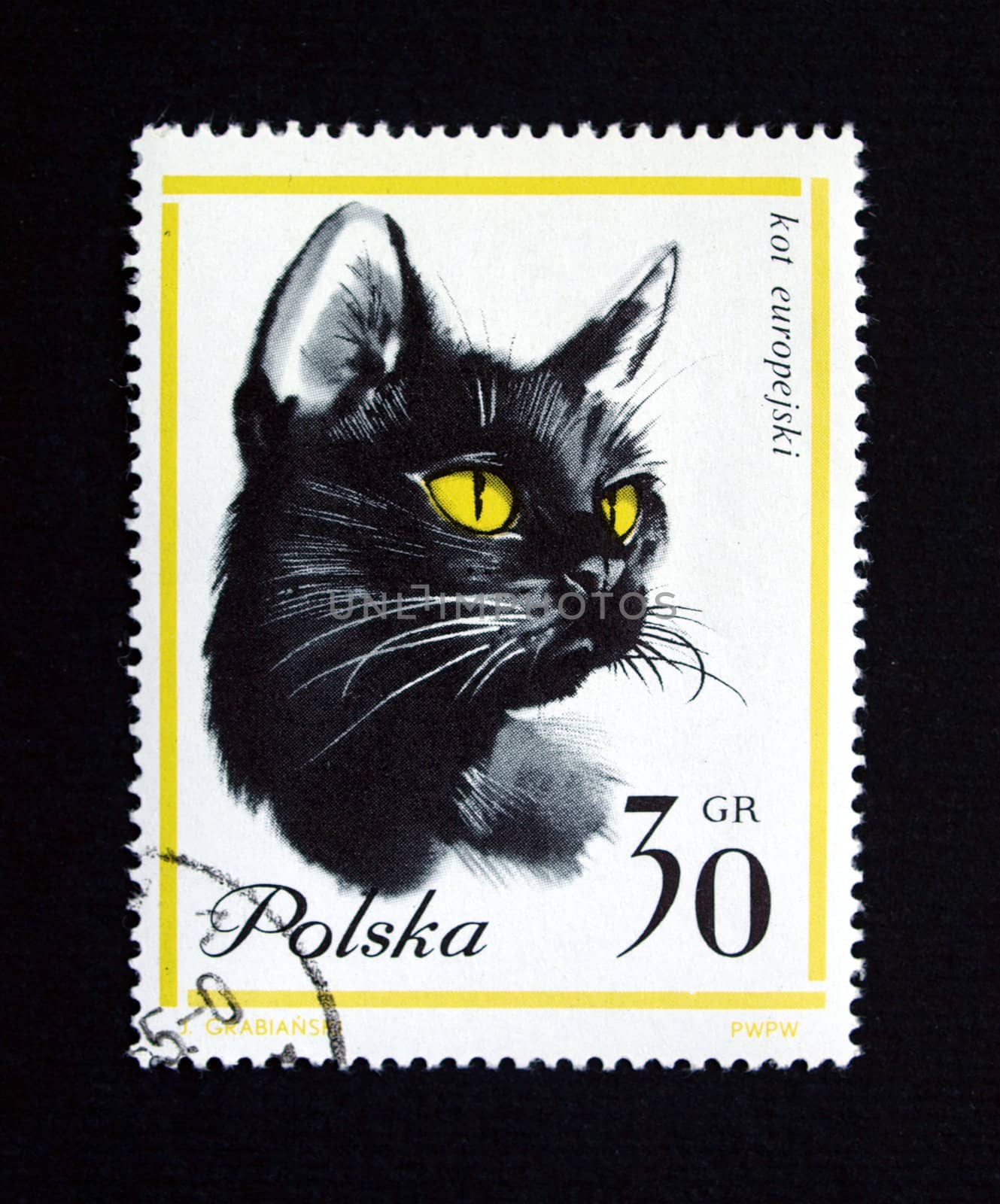 Stamp with cat from Polonia