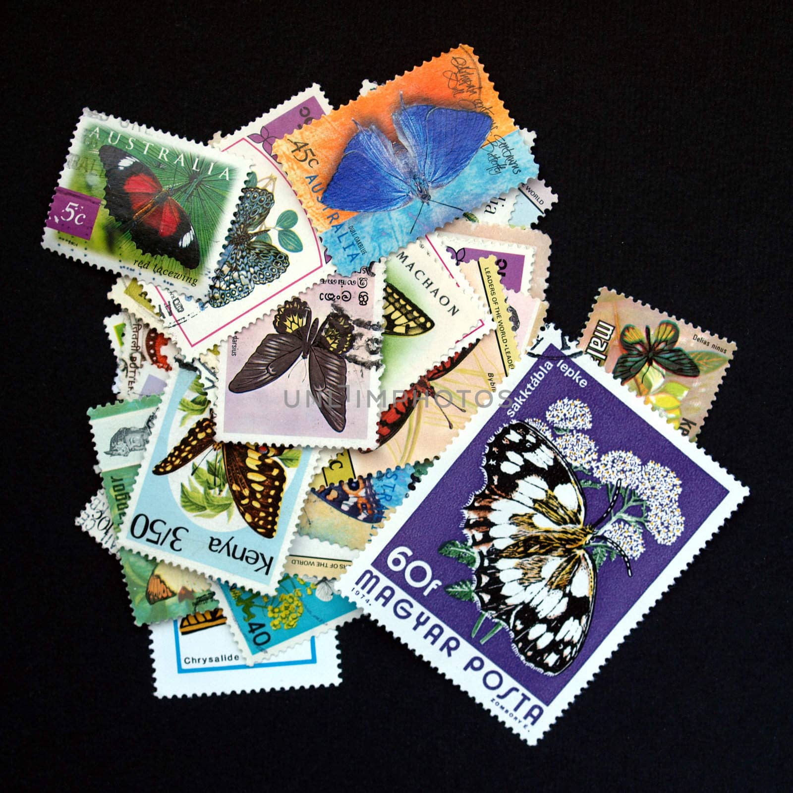 Stamps with butterfly by paolo77