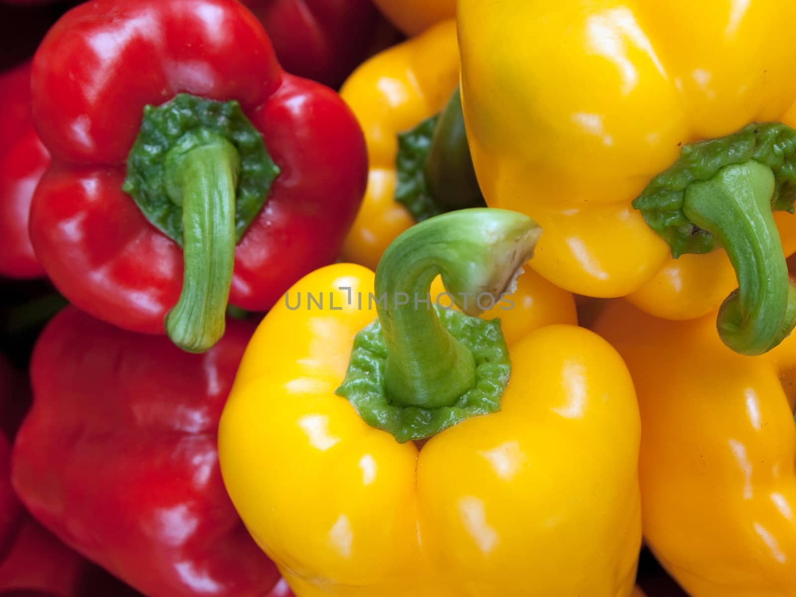 Red Yellow Green Bell Pepper at The market