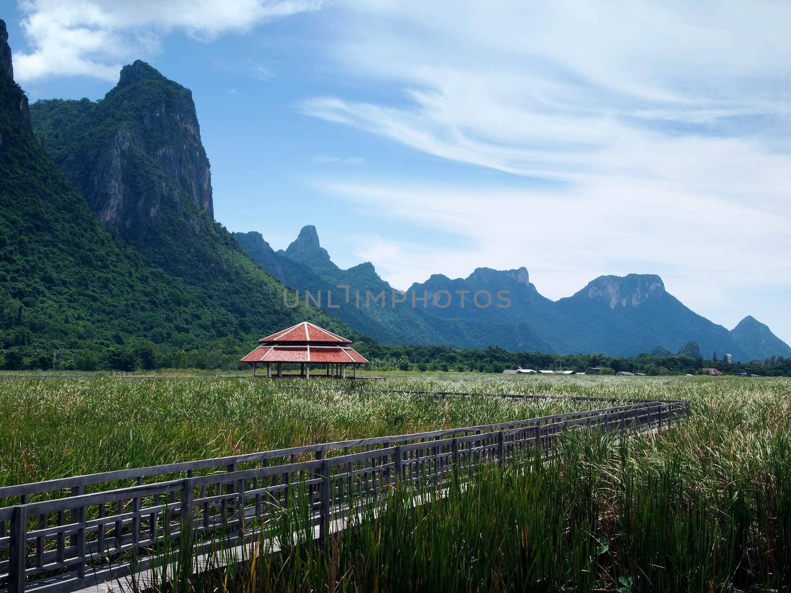 Lake Central wooden bridge. Filled with grass. Sam Roi Yod National Park.