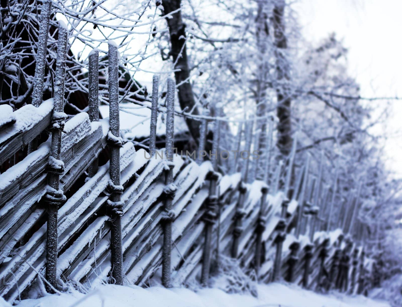Wooden fence covered in snow by sundaune