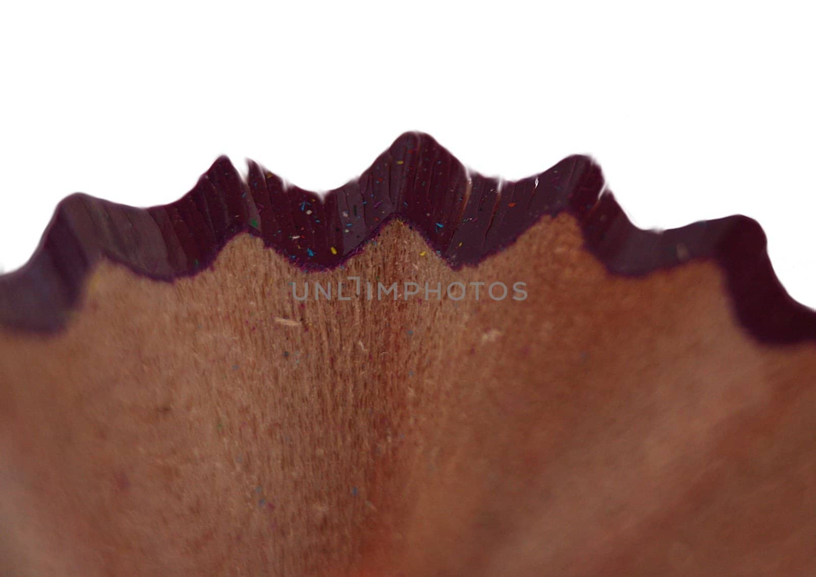 Part of shavings from a purple pencil isolated on white background