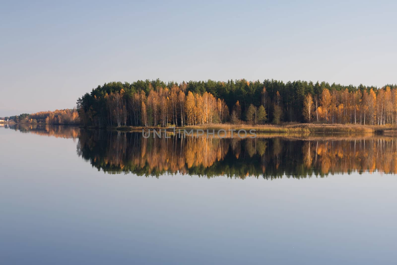 autumn lake forest
