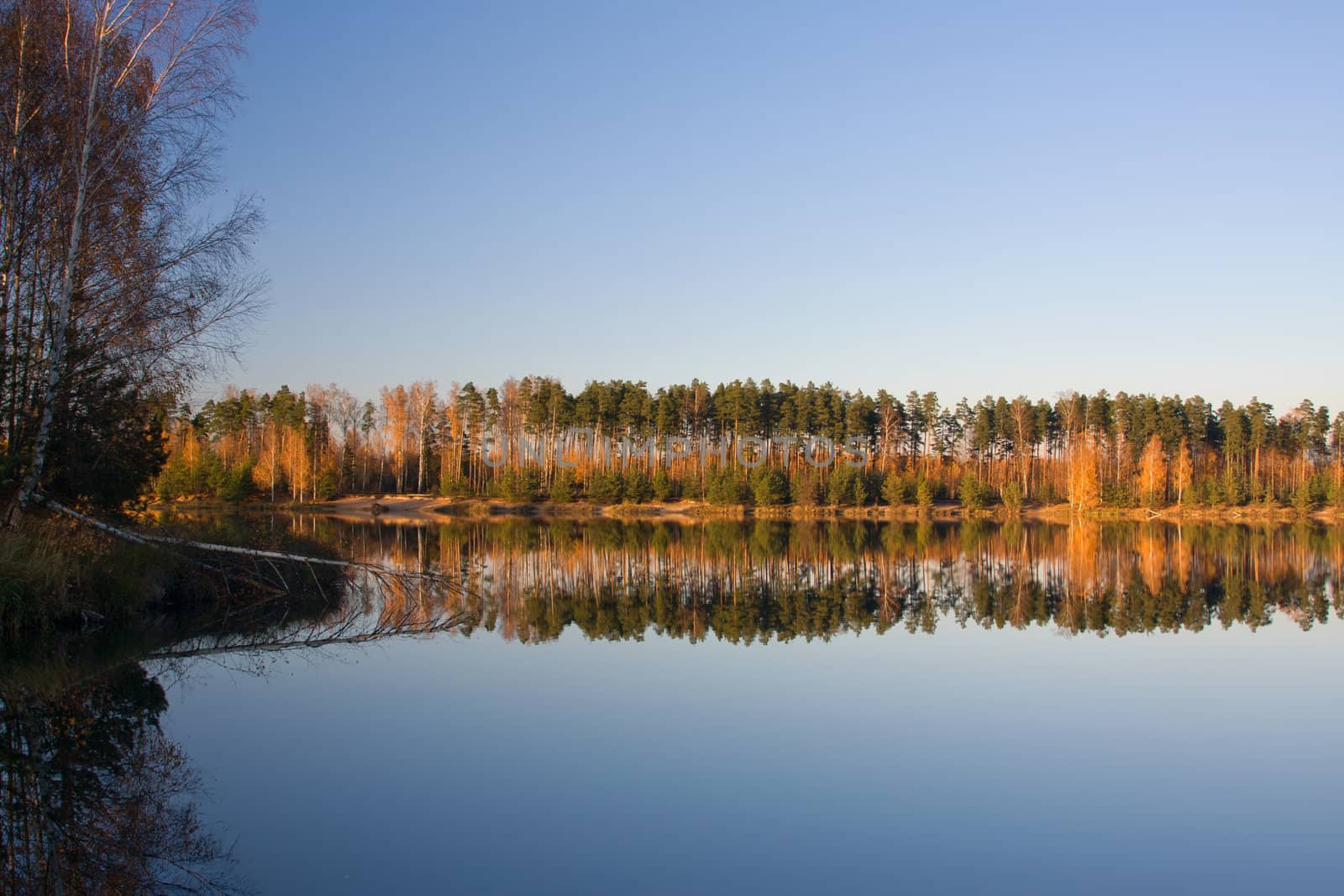 autumn lake forest by desant7474