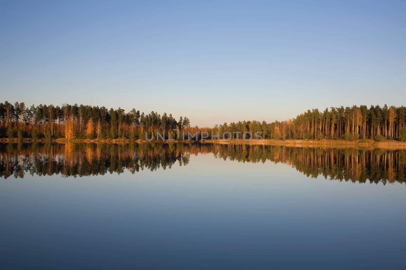 autumn lake forest by desant7474