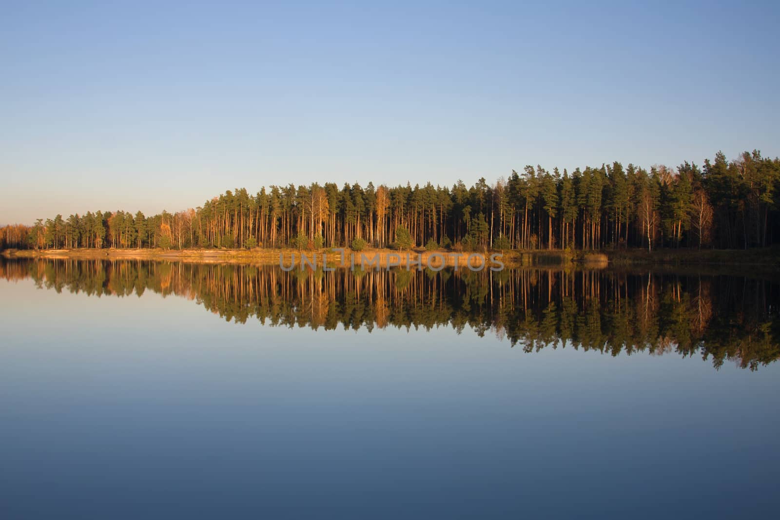 autumn lake forest by desant7474