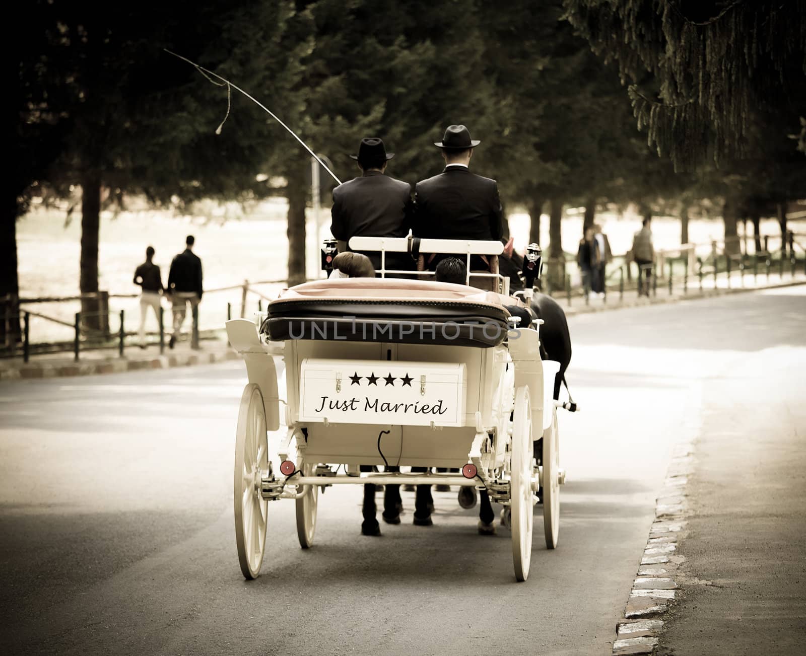 Wedding carriage