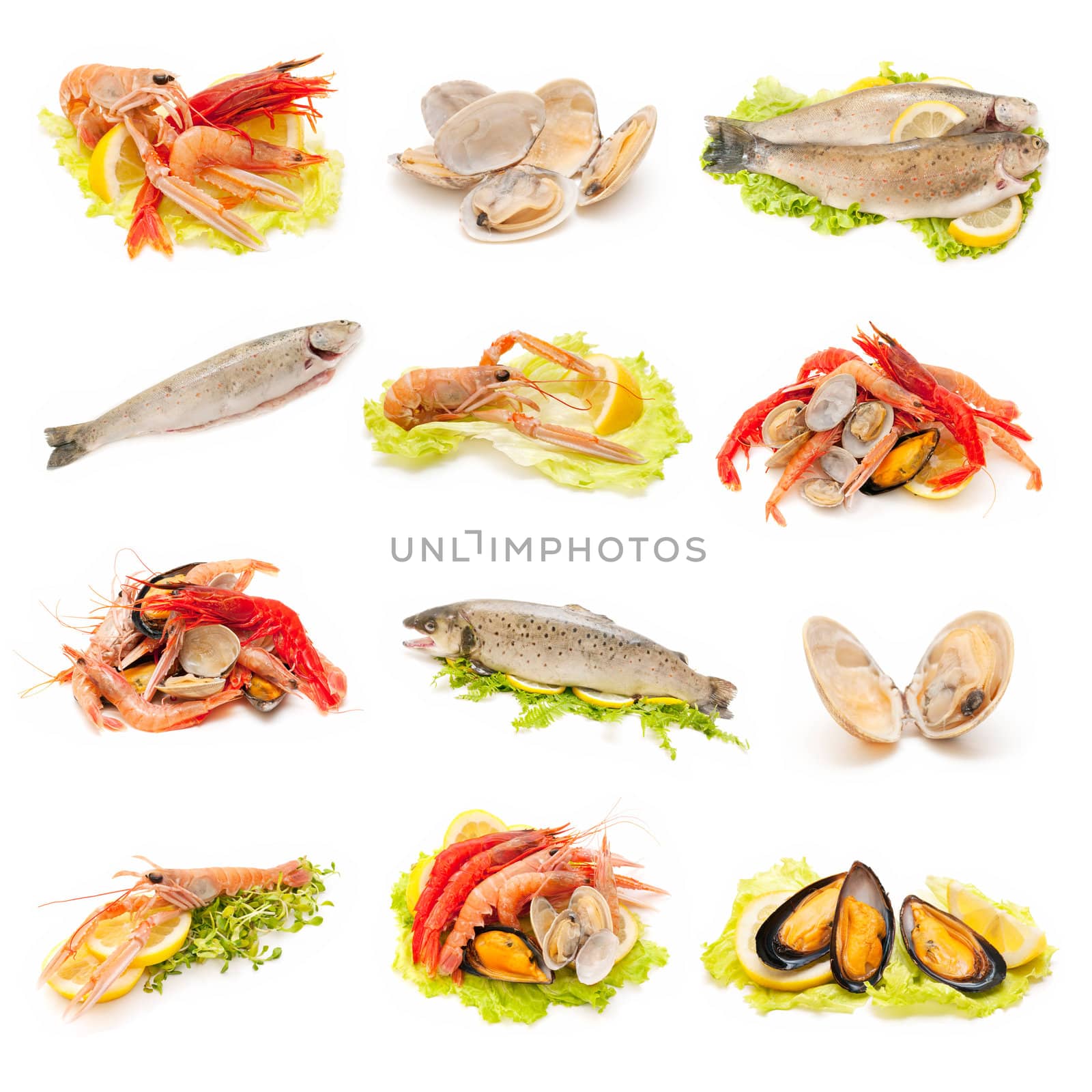 shellfish and fish by luiscar