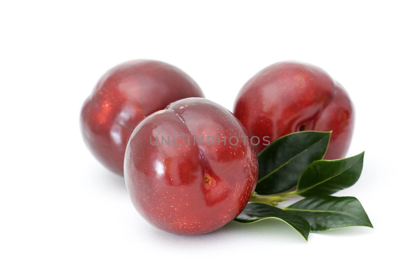 red plums by miradrozdowski