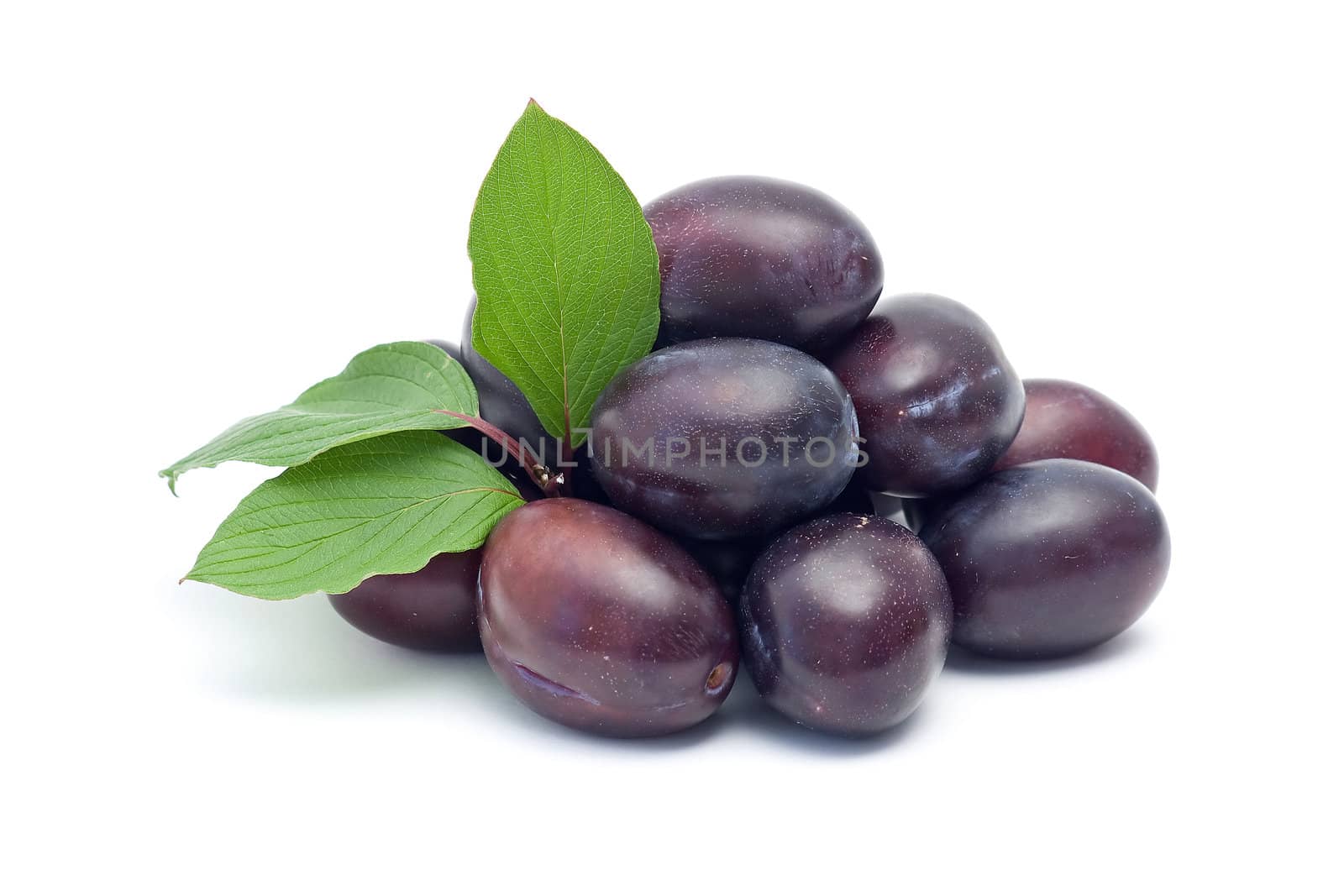fresh plums isolated on white