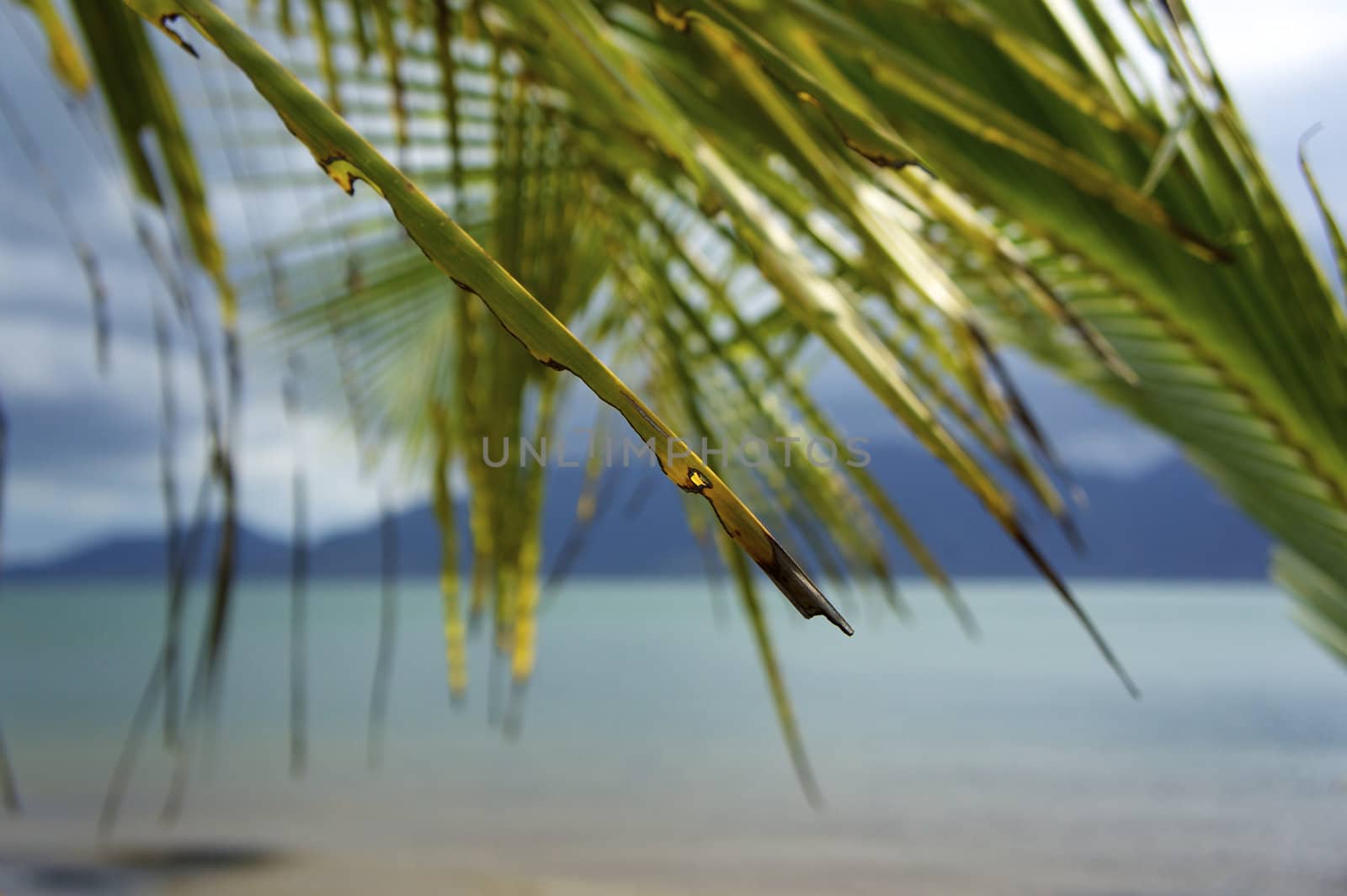 Paradise beach in Ilhabela, Sao Paulo, Brazil.