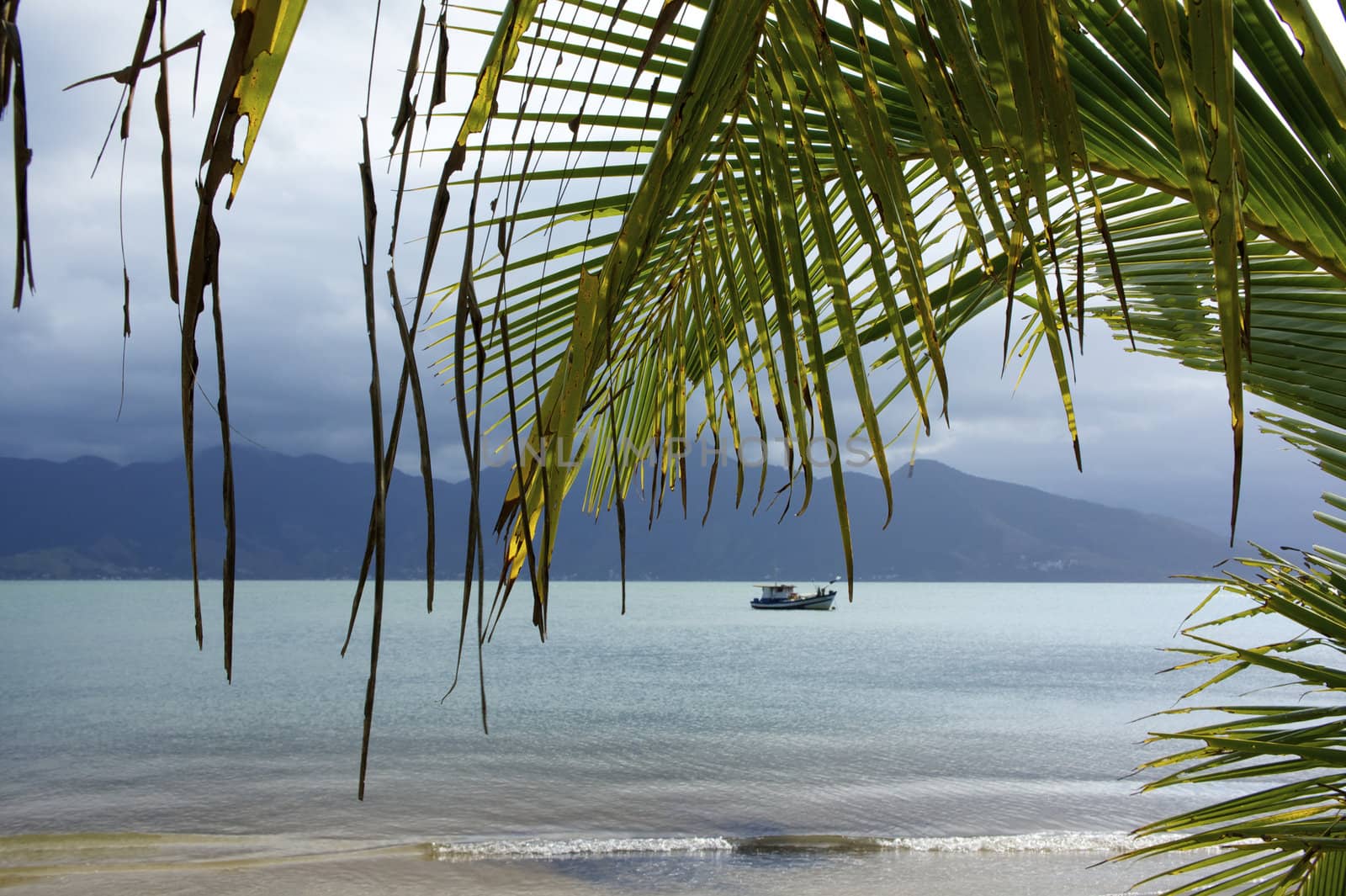 Paradise beach in Ilhabela, Sao Paulo, Brazil.