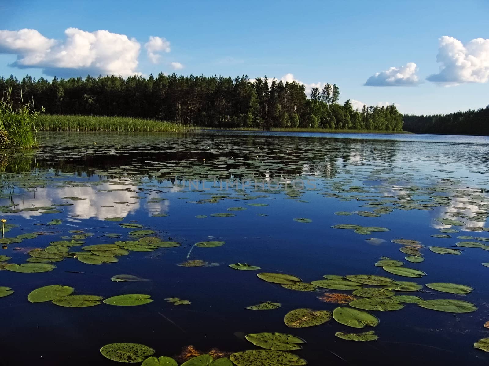 In silent water of lake are reflected the blue sky and clouds