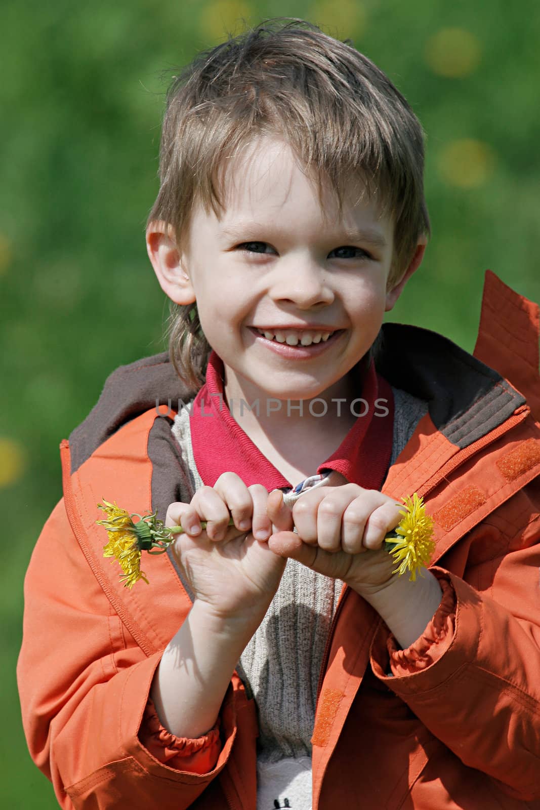 Young boy enjoy summer time in the dandelion meadow.