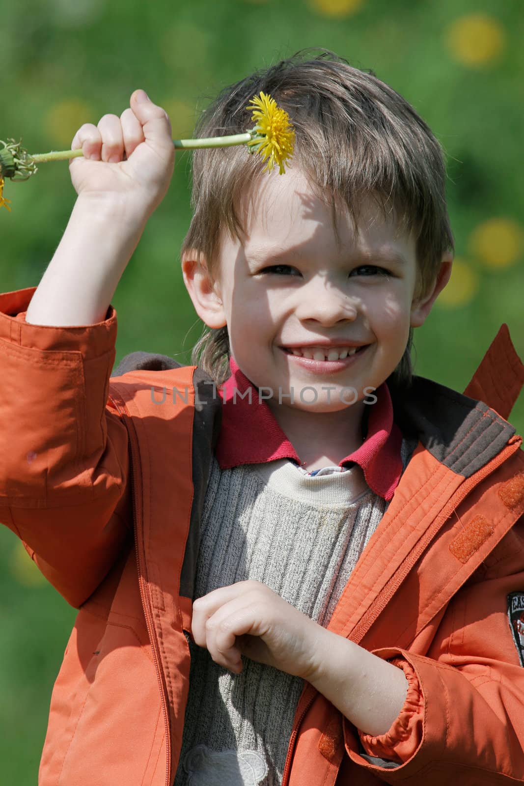 Young boy enjoy summer time in the dandelion meadow.