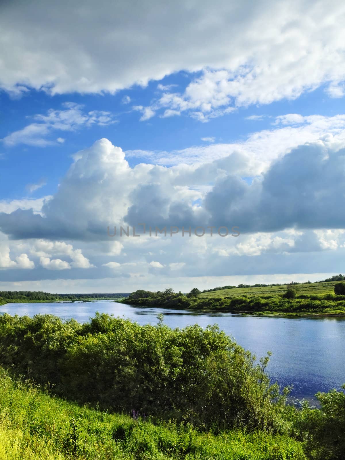 The river Zapadnaya Dvina in summer midday, river bank has grown with bushes