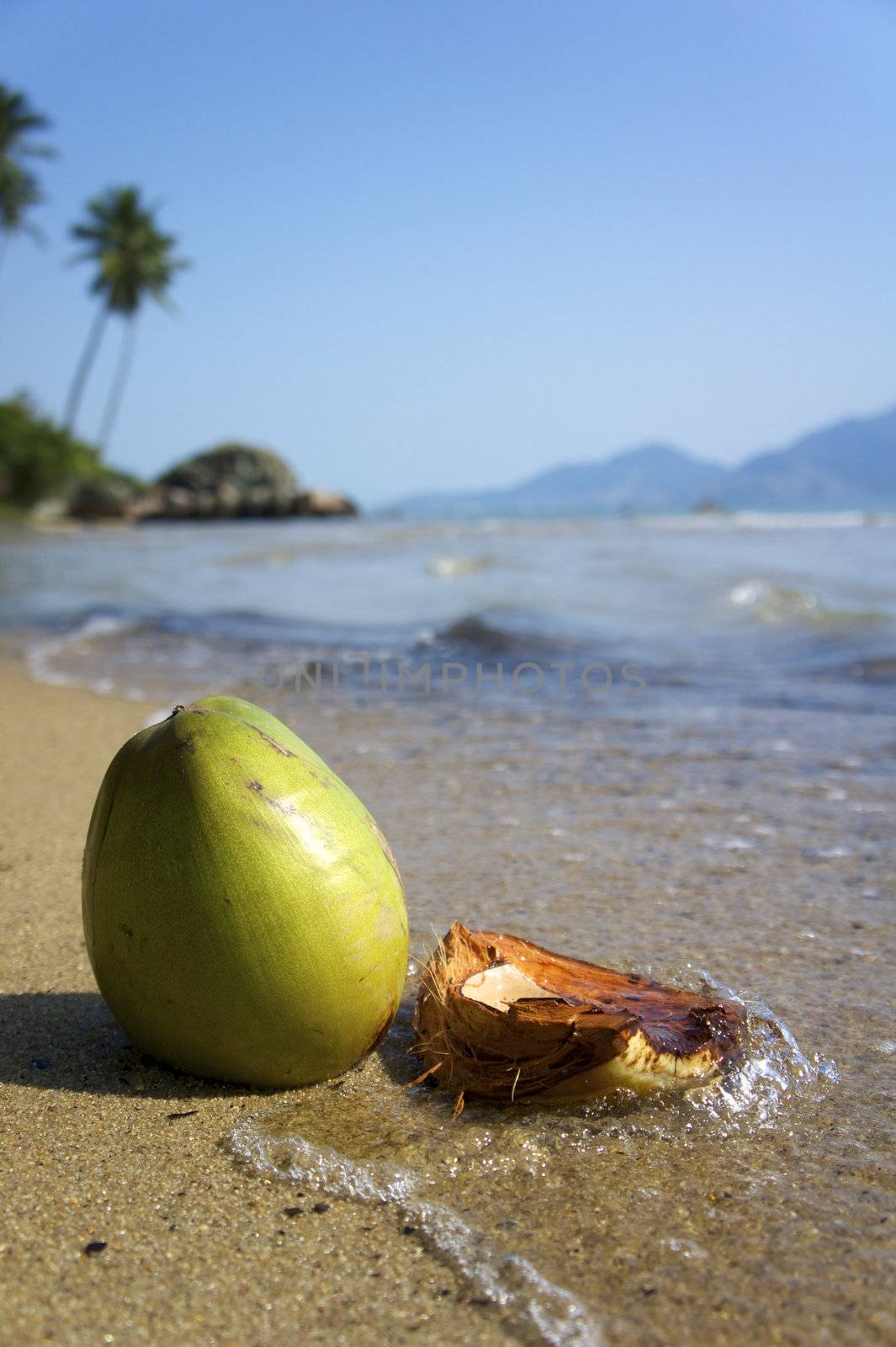 Fresh coconut on the beach in Ilhabela, Sao Paulo state, Brazil, RAW shooting.