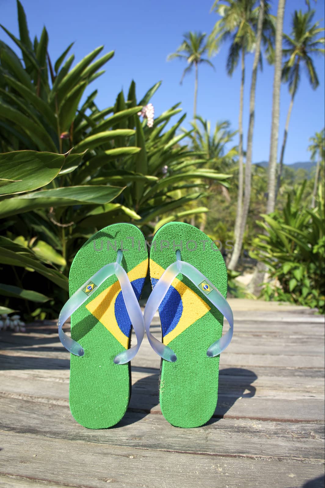 razilian Flipflop on the beach in Ilhabela, Sao Paulo state, Brazil, RAW shooting