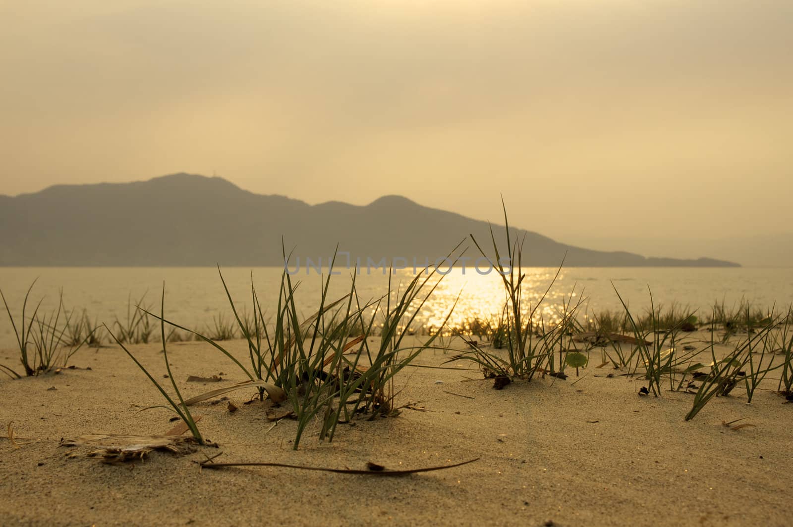 Paradise beach in Ilhabela, Sao Paulo, Brazil.