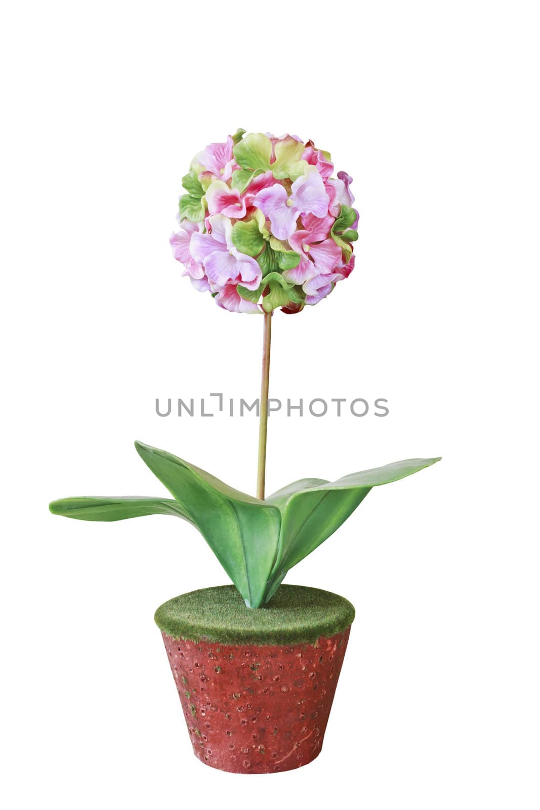 Plastic flower pot isolated on white background