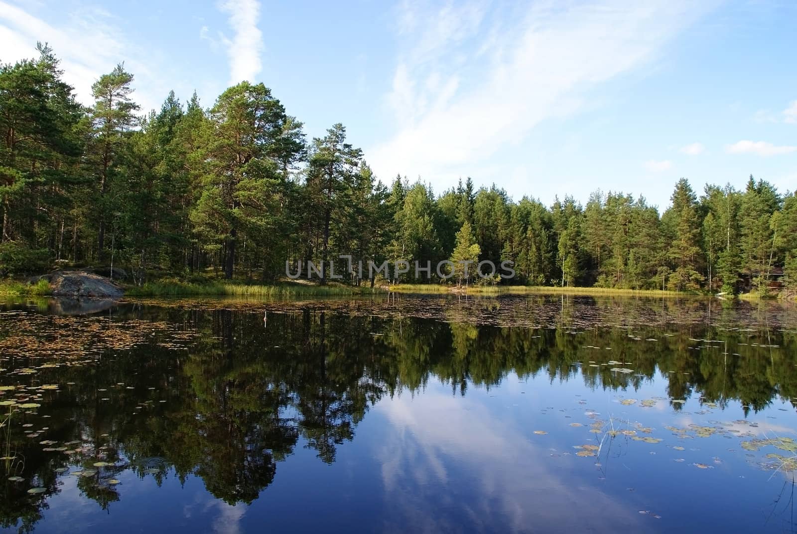 A calm forest lake in Salo, Finland, mirroring the sky and forest.