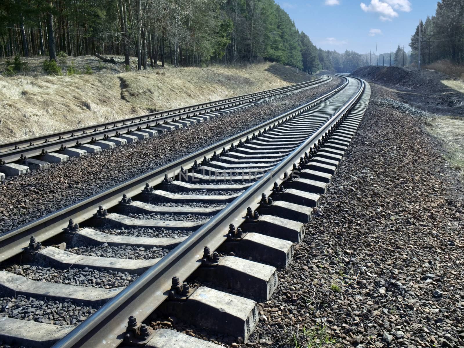 Railway rails leaving afar along wood under blue sky