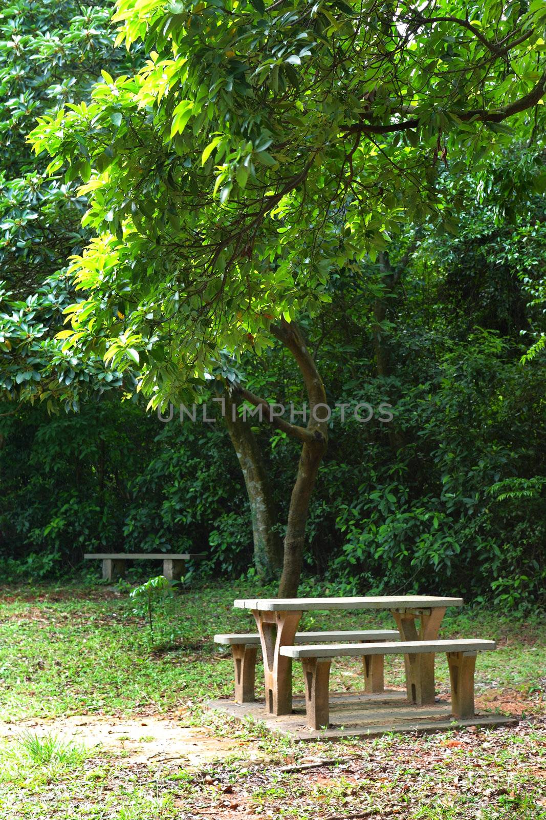 picnic place