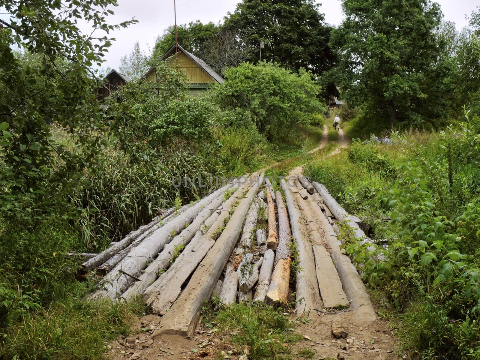 log village bridge on green forest river